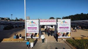PORTICO-EVENTOS-LAYHER-GRAFICAS-PRODUCTORA-EVENTOS