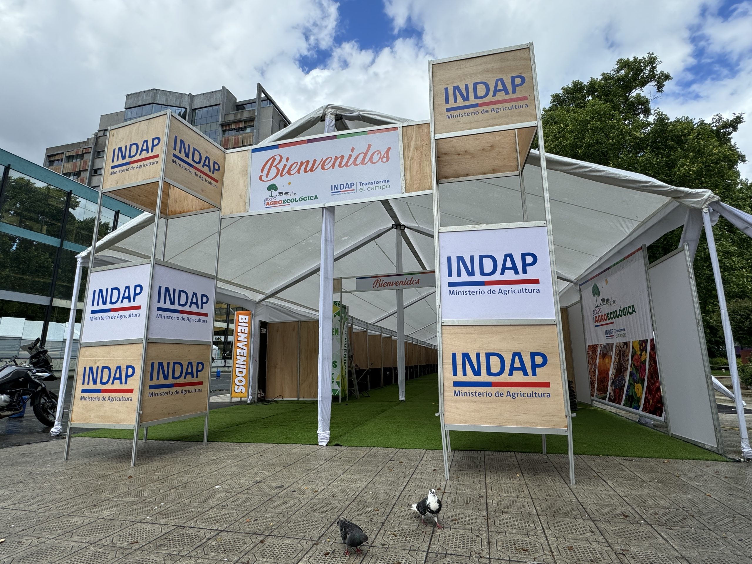 PORTICO-FERIAS-EXPOS-ESTRUCTURAS-EVENTOS
