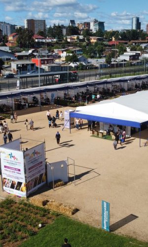 ARRIENDO-TOLOD-IMPERMEABLE-DISENO-PRODUCTORA-EVENTOS-REGION-MODULAR-INDAP-FERIAS