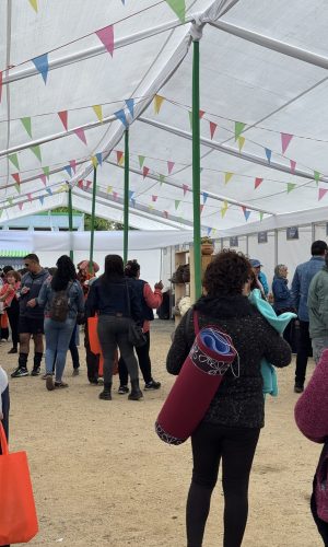CARPAS-TOLDOS-ARRIENDO-DE- EVENTOS