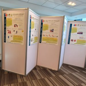 PANELES-EXPOSICION-EXPO-FERIA-PANEL-OCTANORM
