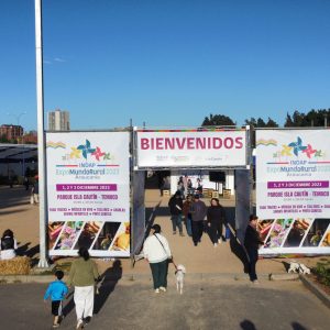 PORTICO-EVENTOS-LAYHER-GRAFICAS-PRODUCTORA-EVENTOS