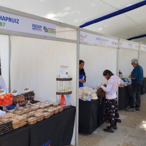 STAND-OCTANORM-CENEFAS-FERIAS-EXPO